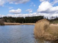 Impression am Alzufer westlich von Truchtlaching